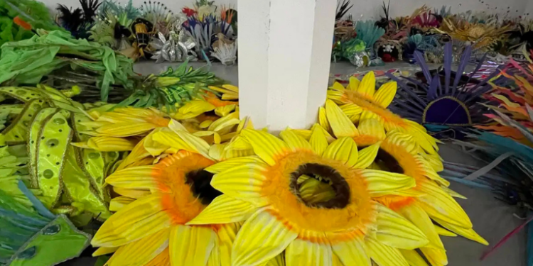 O Projeto Sustenta Carnaval reutiliza fantasias descartadas nas escolas de samba do Rio, gerando empregos, fomentando economia criativa e promovendo sustentabilidade cultural e ambiental.
