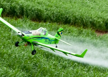 Pesquisa internacional publicada na revista Science revela aumento consistente na toxicidade de pesticidas entre 2013 e 2019, colocando em risco metas globais de biodiversidade.