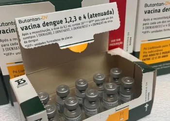 Estado do Rio recebe mais de 33 mil doses da nova vacina contra a dengue