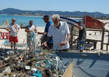 Mortandade de tartarugas no Rio preocupa especialistas. Veja causas, números e impactos ambientais no litoral fluminense.