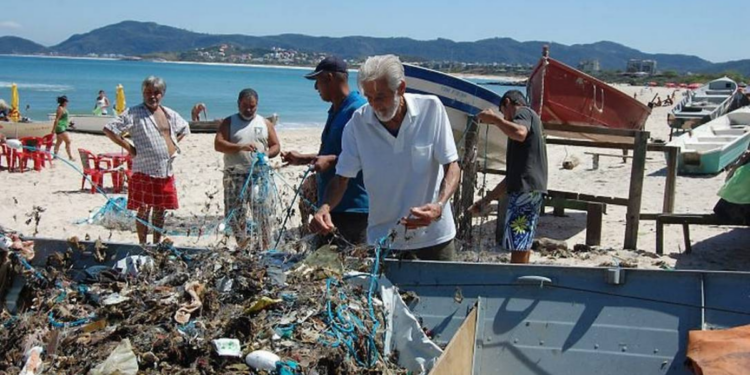 Mortandade de tartarugas no Rio preocupa especialistas. Veja causas, números e impactos ambientais no litoral fluminense.