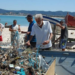 Mortandade de tartarugas no Rio preocupa especialistas. Veja causas, números e impactos ambientais no litoral fluminense.