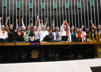 Congresso aprova projeto que regulamenta a profissão de doula, definindo funções, direitos e qualificações, reforçando apoio ao parto humanizado e à autonomia das gestantes.