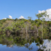 Governo federal mobiliza R$ 179 bilhões para projetos de transição ecológica no Brasil desde 2023. Recursos vêm do Fundo Clima e do programa Eco Invest Brasil para financiar sustentabilidade e inovação verde.