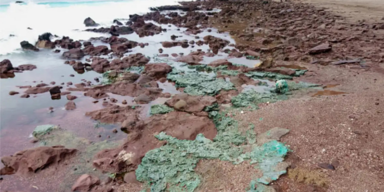 Cientistas identificam pela primeira vez rochas plásticas em ninhos de tartarugas na Ilha de Trindade, evidenciando como resíduos humanos podem se tornar parte da história geológica do planeta.