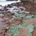 Cientistas identificam pela primeira vez rochas plásticas em ninhos de tartarugas na Ilha de Trindade, evidenciando como resíduos humanos podem se tornar parte da história geológica do planeta.
