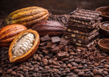 Alta do cacau afeta preços e muda consumo de chocolate