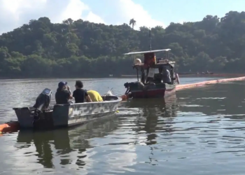 Projeto inovador utiliza cabelo humano para absorver óleo na Baía de Guanabara, ajudando a reduzir a poluição e preservar manguezais no Rio de Janeiro.