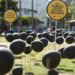 CPI do Crime Organizado apresenta levantamento do Instituto Fogo Cruzado: 1.389 vítimas de bala perdida, 192 crianças baleadas e crescimento de milícias no Rio de Janeiro.