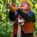 O festival Motirõ – Palavras da Mata, realizado no Museu Histórico da Cidade do Rio de Janeiro, promove cultura, arte e literatura indígena com oficinas, rodas de contação e atividades para todas as idades.