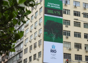 Prefeitura do Rio lança painel digital para acompanhar plantio de árvores em tempo real. Iniciativa reforça transparência, combate ao calor urbano e metas ambientais.