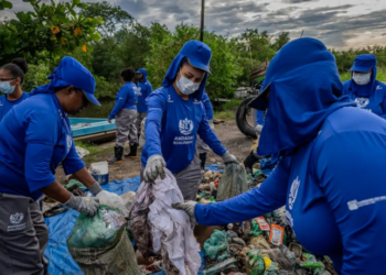 Iniciativas comunitárias na Baía de Guanabara promovem limpeza de manguezais, recuperação ambiental e engajamento local por meio de projetos como Andadas Ecológicas e Moeda Azul.