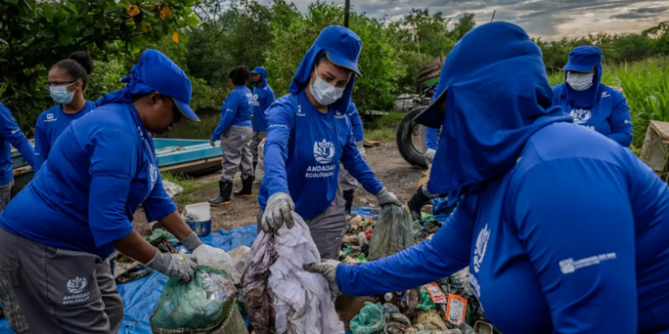 Iniciativas comunitárias na Baía de Guanabara promovem limpeza de manguezais, recuperação ambiental e engajamento local por meio de projetos como Andadas Ecológicas e Moeda Azul.