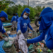 Iniciativas comunitárias na Baía de Guanabara promovem limpeza de manguezais, recuperação ambiental e engajamento local por meio de projetos como Andadas Ecológicas e Moeda Azul.