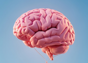 Esquecer tarefas simples e perder o foco podem indicar sobrecarga cerebral. Especialista explica como pausas curtas e hábitos saudáveis ajudam a recuperar a atenção e melhorar a produtividade.