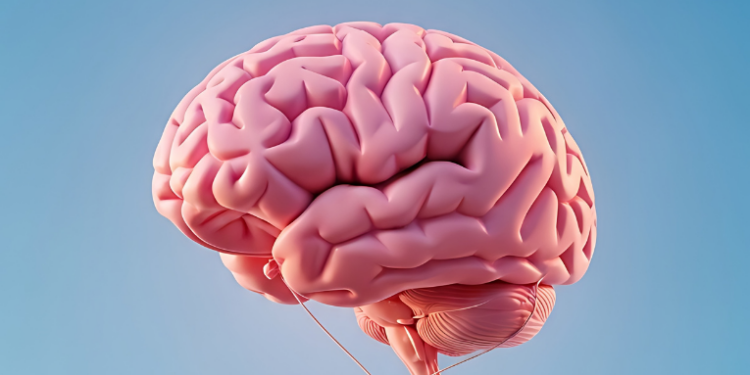 Esquecer tarefas simples e perder o foco podem indicar sobrecarga cerebral. Especialista explica como pausas curtas e hábitos saudáveis ajudam a recuperar a atenção e melhorar a produtividade.