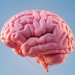 Esquecer tarefas simples e perder o foco podem indicar sobrecarga cerebral. Especialista explica como pausas curtas e hábitos saudáveis ajudam a recuperar a atenção e melhorar a produtividade.