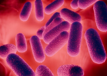 Pesquisa revela ligação entre microbiota intestinal e metabolismo energético.