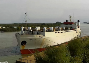 Conflito no Oriente Médio deixa milhares de animais vivos presos em navios no Mediterrâneo