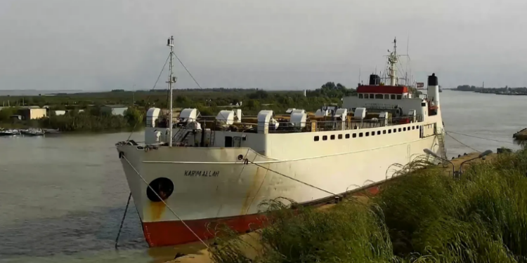 Conflito no Oriente Médio deixa milhares de animais vivos presos em navios no Mediterrâneo