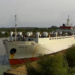 Conflito no Oriente Médio deixa milhares de animais vivos presos em navios no Mediterrâneo