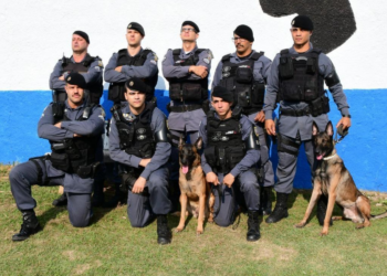 Cão da PM encontra bunker com 48 toneladas de maconha na Maré