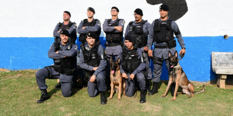 Cão da PM encontra bunker com 48 toneladas de maconha na Maré