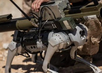 Tecnologia de guerra avança: China aposta em cães robôs com metralhadoras