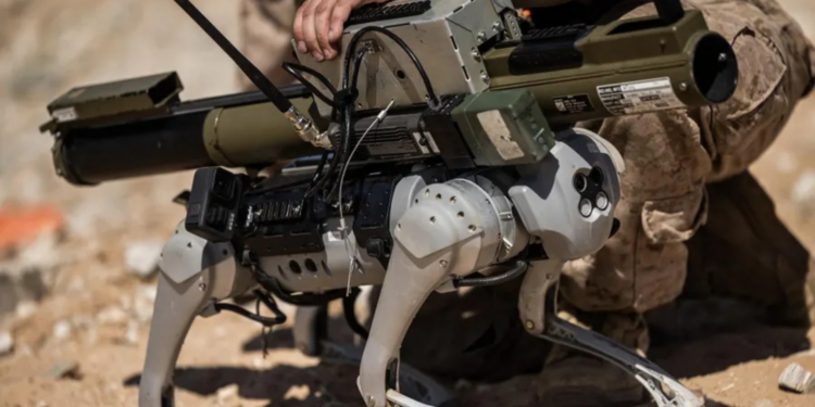 Tecnologia de guerra avança: China aposta em cães robôs com metralhadoras