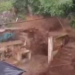 Enchentes em Medellín causam destruição, deixam criança morta e famílias desalojadas após forte temporal.
