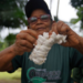 O Grupo de Agricultores Orgânicos da Comunidade da Missão, em Tefé (AM), produz chocolate artesanal de cacau, mantendo técnicas tradicionais e alcançando certificação orgânica, fortalecendo a economia local.