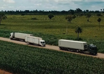 Setor de serviços no Brasil cresce 0,1% em fevereiro, segundo o IBGE, com avanço em tecnologia da informação e transportes.