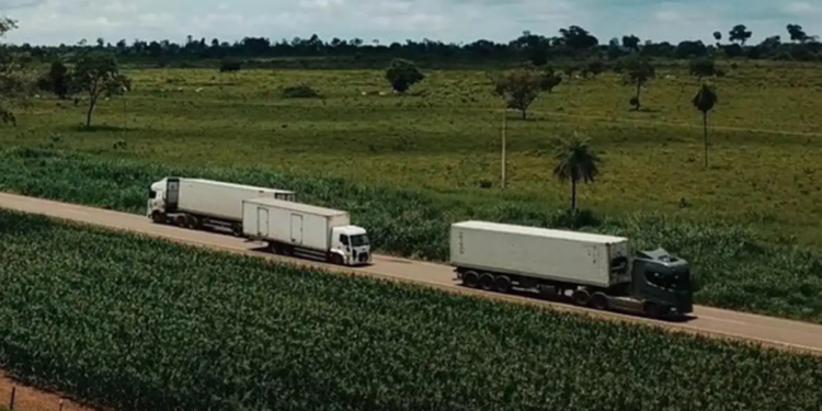 Setor de serviços no Brasil cresce 0,1% em fevereiro, segundo o IBGE, com avanço em tecnologia da informação e transportes.