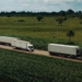 Setor de serviços no Brasil cresce 0,1% em fevereiro, segundo o IBGE, com avanço em tecnologia da informação e transportes.