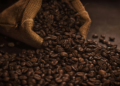 Cafés tradicionais estão usando mais conilon e menos arábica. Entenda o que mudou na mistura e como isso pode afetar a bebida.