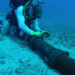 Cabos submarinos sustentam a internet global e enfrentam riscos de guerra, sabotagem e acidentes com impacto econômico imediato.