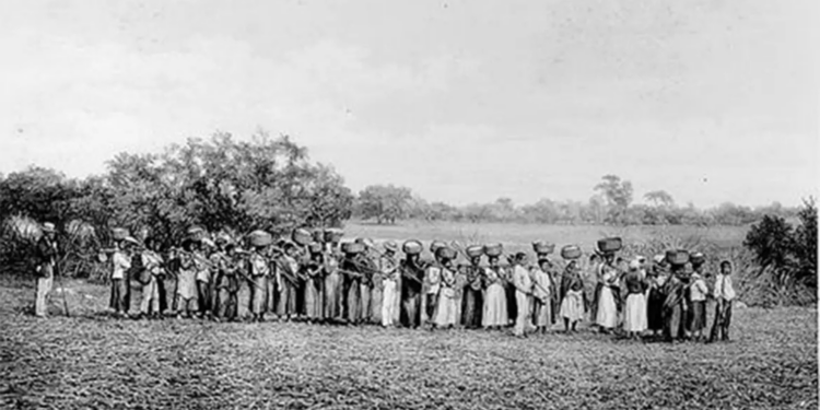 Levantamento baseado na Comissão Nacional da Verdade aponta que empresários ligados à ditadura militar no Brasil têm origem associada a famílias do período escravocrata.