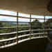 Inhotim comemora 20 anos com novas obras que exploram arte contemporânea, ancestralidade e meio ambiente em Brumadinho.