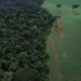 Brasil registra redução de 42% na perda de florestas em 2025, mas ainda lidera participação global no desmatamento, segundo dados do World Resources Institute.