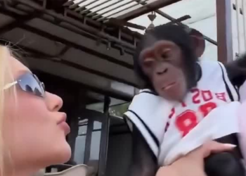 Vídeo gravado em Dubai viralizou e provocou forte reação nas redes sociais.