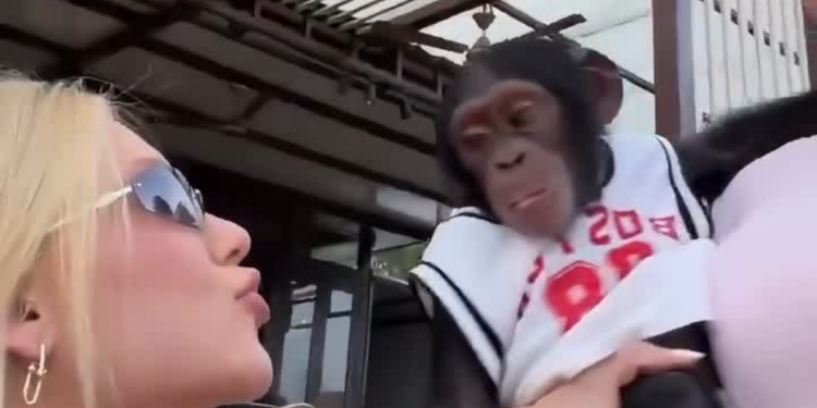 Vídeo gravado em Dubai viralizou e provocou forte reação nas redes sociais.