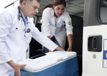 Brasil registra 31 mil transplantes em 2025, maior número recente. Investimentos aumentam e sistema avança em captação e transporte de órgãos.