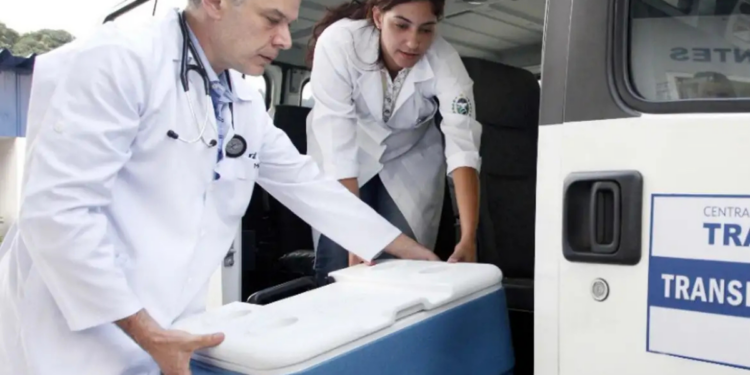 Brasil registra 31 mil transplantes em 2025, maior número recente. Investimentos aumentam e sistema avança em captação e transporte de órgãos.