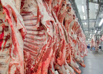 Governo brasileiro reage à decisão da União Europeia de retirar o Brasil da lista de países autorizados a exportar produtos de origem animal ao bloco europeu.