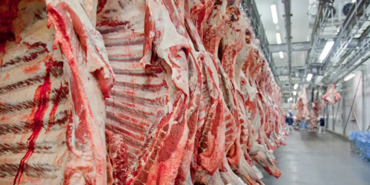 Governo brasileiro reage à decisão da União Europeia de retirar o Brasil da lista de países autorizados a exportar produtos de origem animal ao bloco europeu.