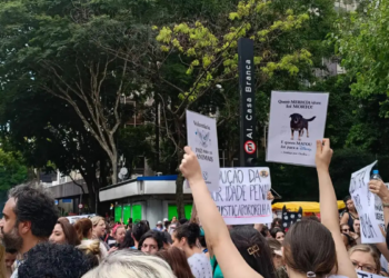 Caso “Cão Orelha” foi arquivado pela Justiça de Santa Catarina após investigação do MPSC concluir que não houve agressão e que a morte ocorreu por problemas de saúde.