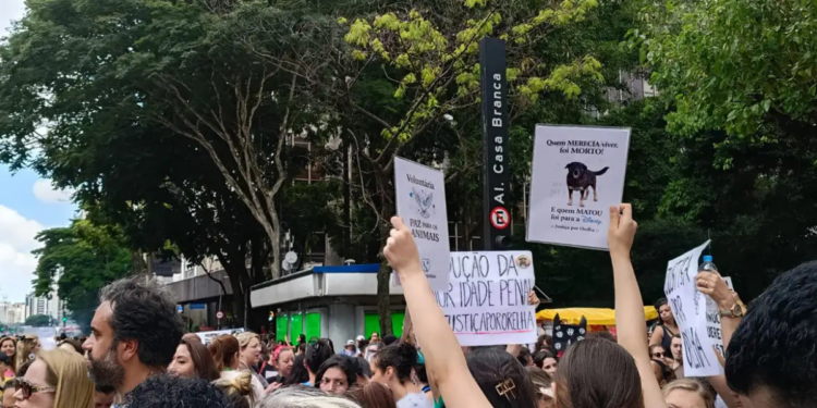 Caso “Cão Orelha” foi arquivado pela Justiça de Santa Catarina após investigação do MPSC concluir que não houve agressão e que a morte ocorreu por problemas de saúde.