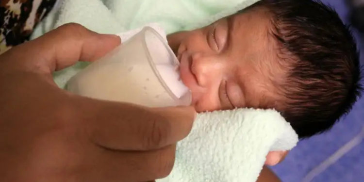Congresso da Fiocruz no Rio debate doação de leite humano, amamentação e saúde neonatal. Brasil é referência internacional em bancos de leite humano.