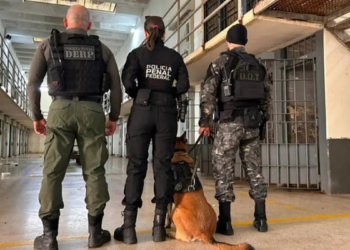 11ª fase da Operação Mute é iniciada em 15 estados e no DF para combater celulares em presídios. Ação já apreendeu cerca de 8 mil aparelhos desde 2023.