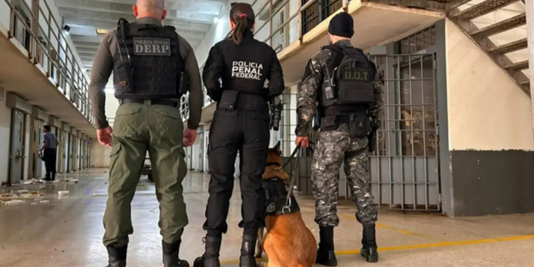 11ª fase da Operação Mute é iniciada em 15 estados e no DF para combater celulares em presídios. Ação já apreendeu cerca de 8 mil aparelhos desde 2023.